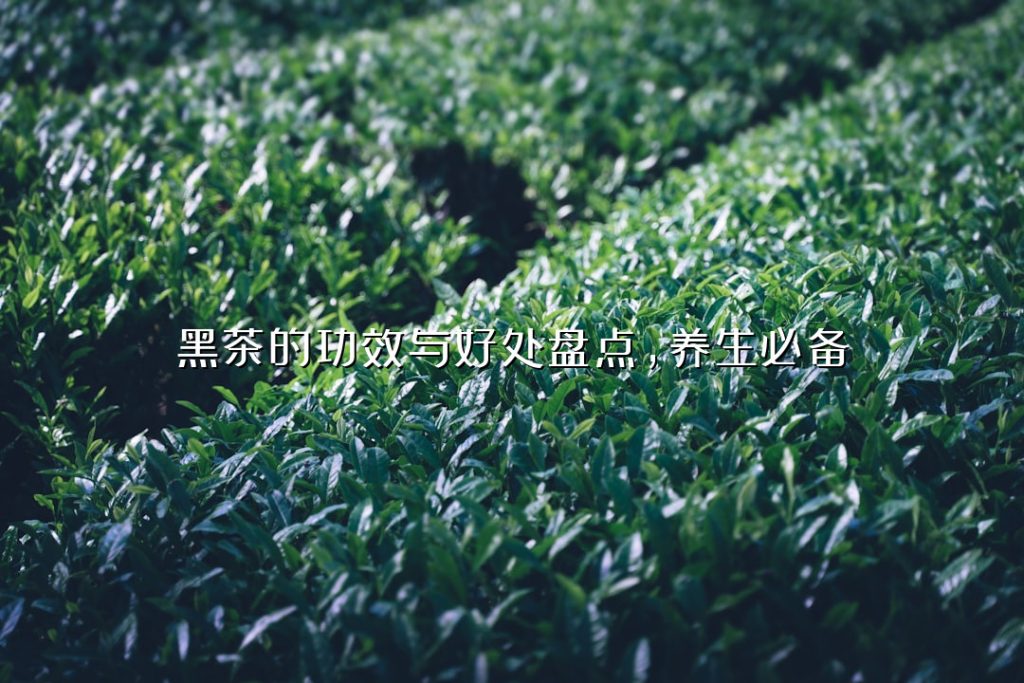 黑茶的功效与好处盘点，养生必备