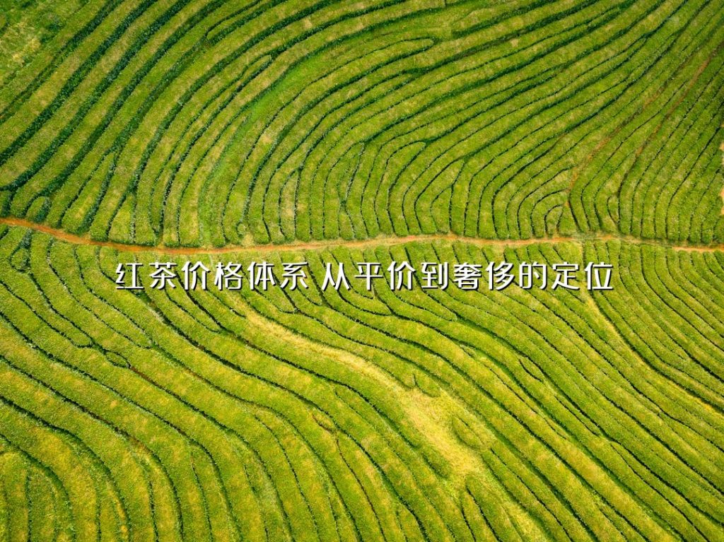 红茶价格体系：从平价到奢侈的定位
