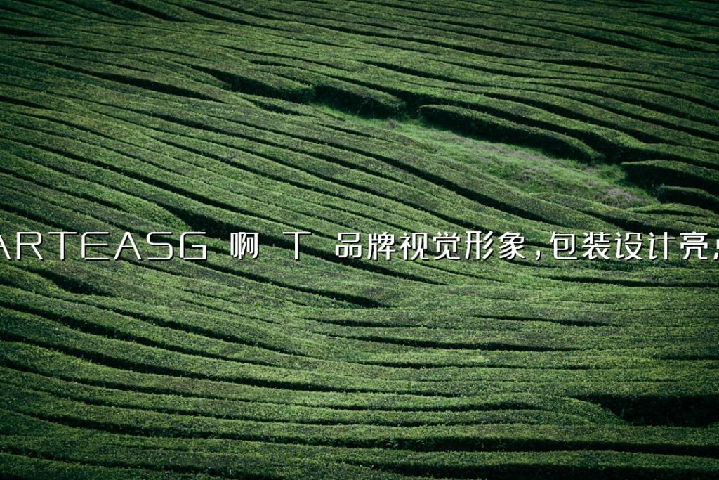 ARTEASG 啊 T 品牌视觉形象,包装设计亮点 ARTEASG 啊 T 品牌视觉形象,包装设计亮点