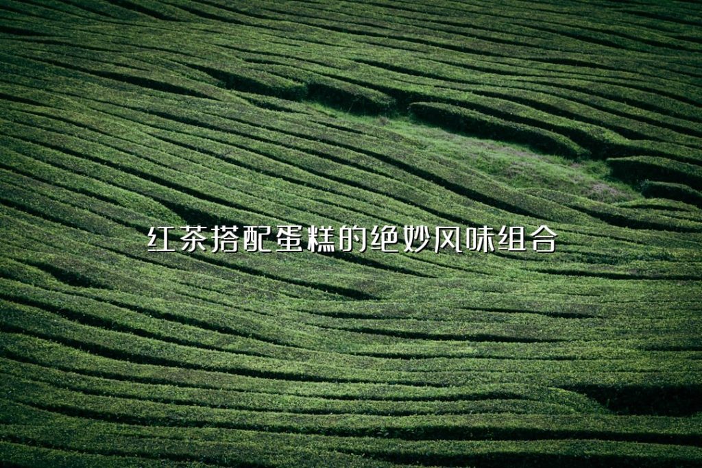 红茶搭配蛋糕的绝妙风味组合 红茶搭配蛋糕的绝妙风味组合