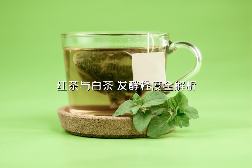 红茶与白茶:发酵程度全解析 红茶与白茶:发酵程度全解析
