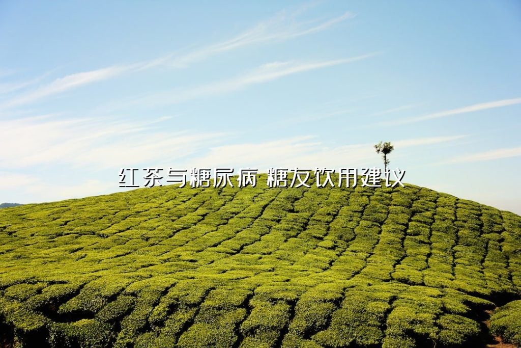 红茶与糖尿病:糖友饮用建议 红茶与糖尿病:糖友饮用建议