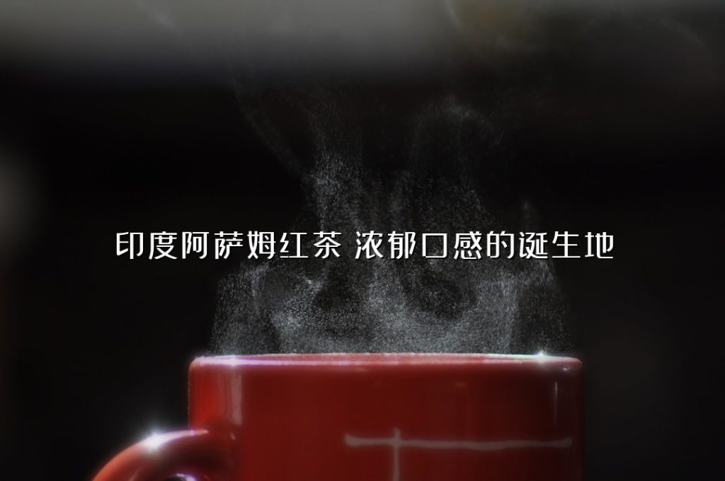 印度阿萨姆红茶:浓郁口感的诞生地 印度阿萨姆红茶:浓郁口感的诞生地