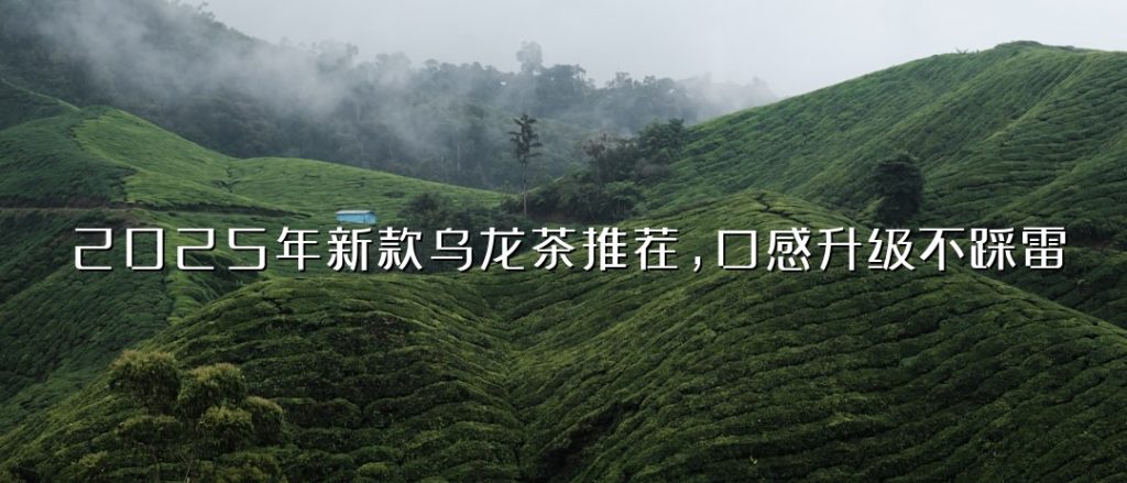 2025 年新款乌龙茶推荐,口感升级不踩雷 2025 年新款乌龙茶推荐,口感升级不踩雷