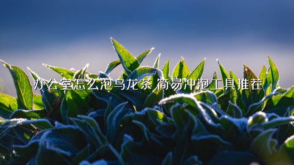 办公室怎么泡乌龙茶?简易冲泡工具推荐 办公室怎么泡乌龙茶?简易冲泡工具推荐