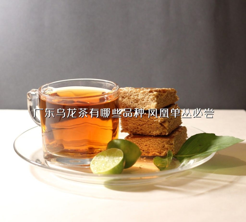 广东乌龙茶有哪些品种?凤凰单丛必尝 广东乌龙茶有哪些品种?凤凰单丛必尝