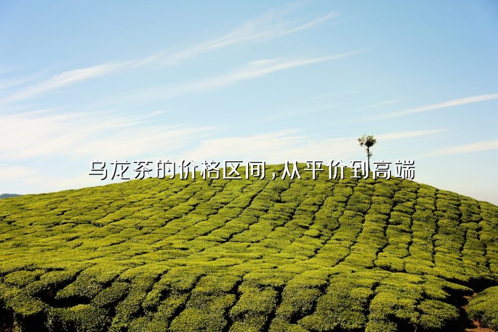 乌龙茶的价格区间,从平价到高端 乌龙茶的价格区间,从平价到高端