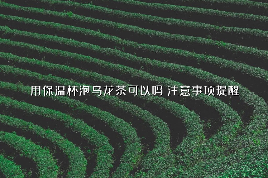 用保温杯泡乌龙茶可以吗?注意事项提醒 用保温杯泡乌龙茶可以吗?注意事项提醒