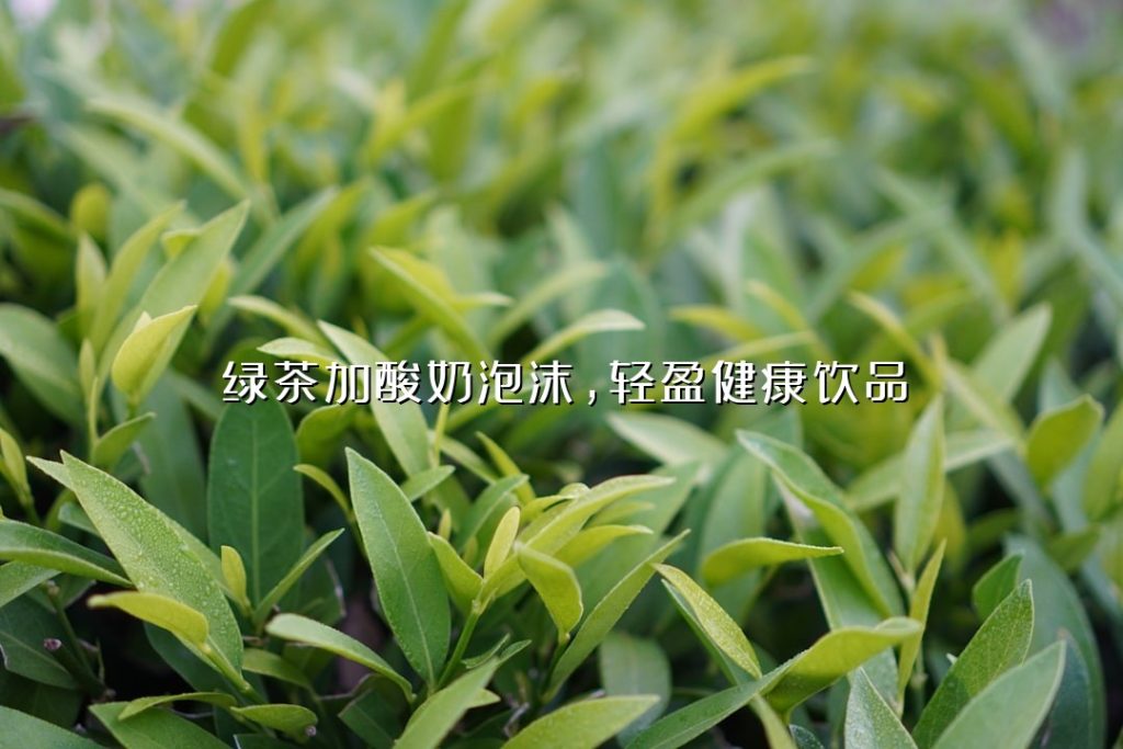 绿茶加酸奶泡沫,轻盈健康饮品 绿茶加酸奶泡沫,轻盈健康饮品