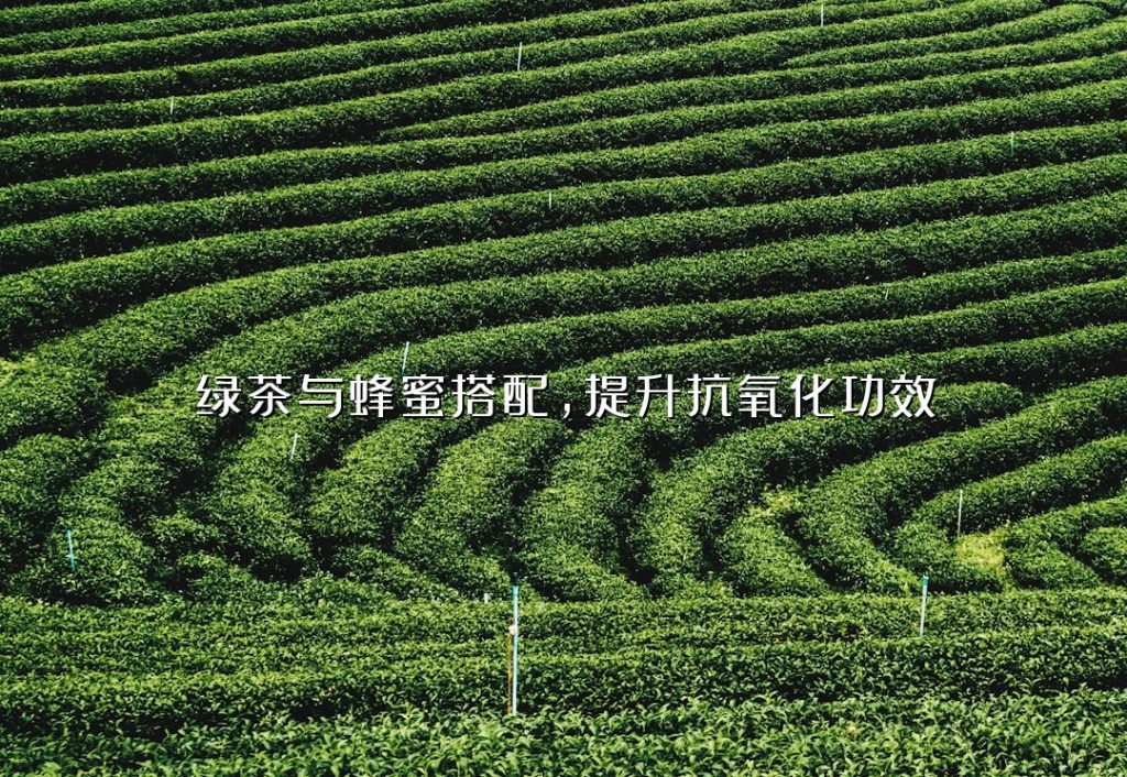 绿茶与蜂蜜搭配,提升抗氧化功效 绿茶与蜂蜜搭配,提升抗氧化功效