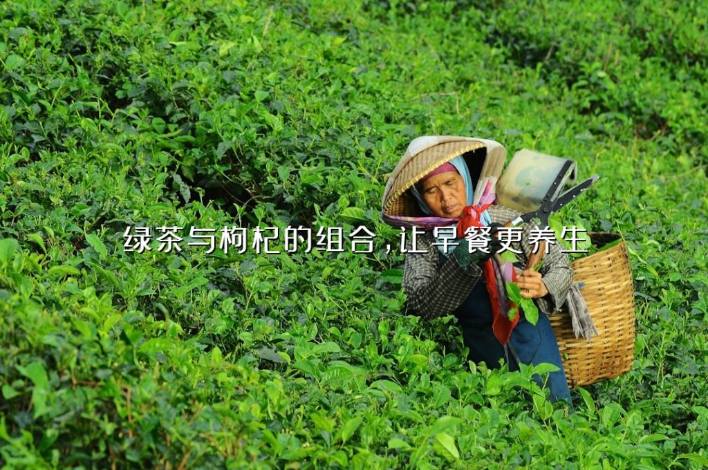 绿茶与枸杞的组合,让早餐更养生 绿茶与枸杞的组合,让早餐更养生