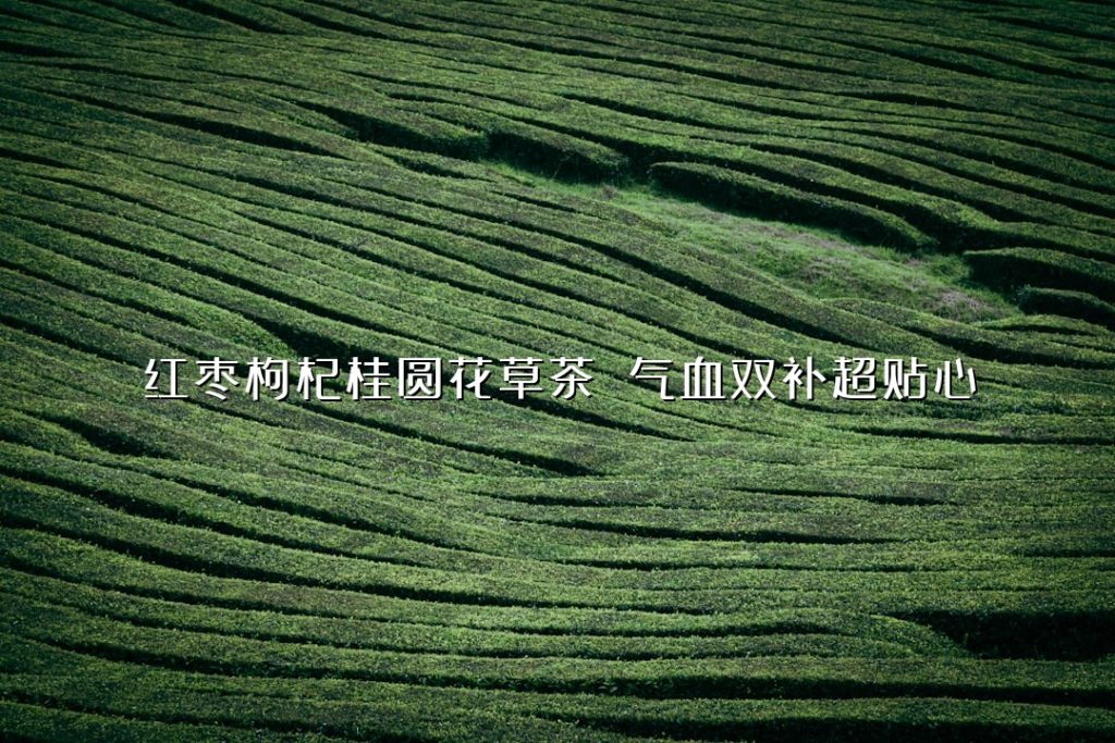 红枣枸杞桂圆花草茶 气血双补超贴心