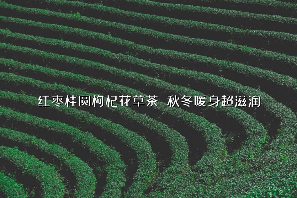 红枣桂圆枸杞花草茶 秋冬暖身超滋润