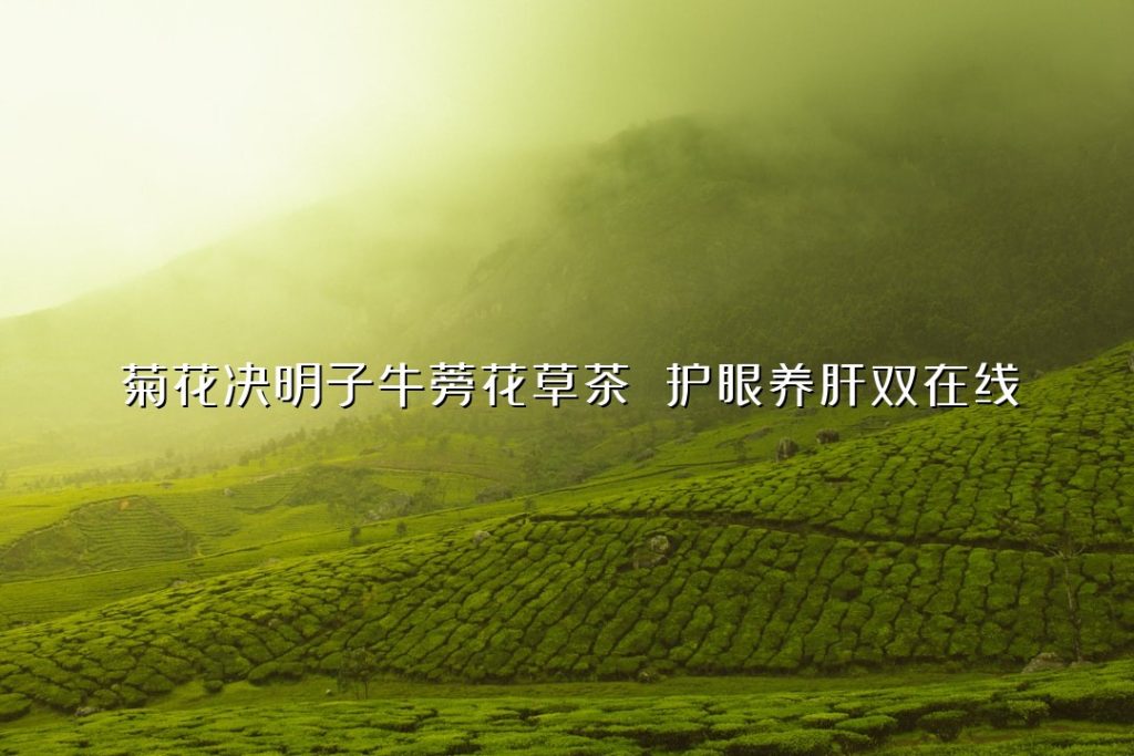 菊花决明子牛蒡花草茶 护眼养肝双在线 菊花决明子牛蒡花草茶 护眼养肝双在线