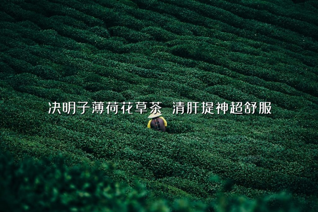 决明子薄荷花草茶 清肝提神超舒服