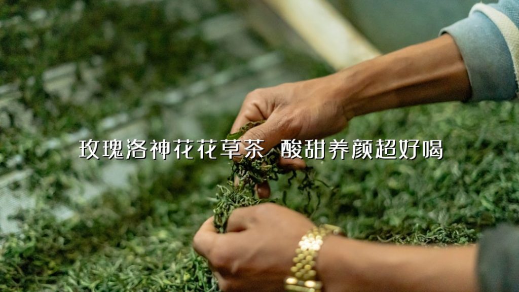 玫瑰洛神花花草茶 酸甜养颜超好喝