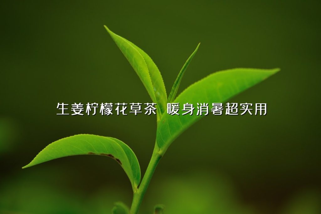 生姜柠檬花草茶 暖身消暑超实用