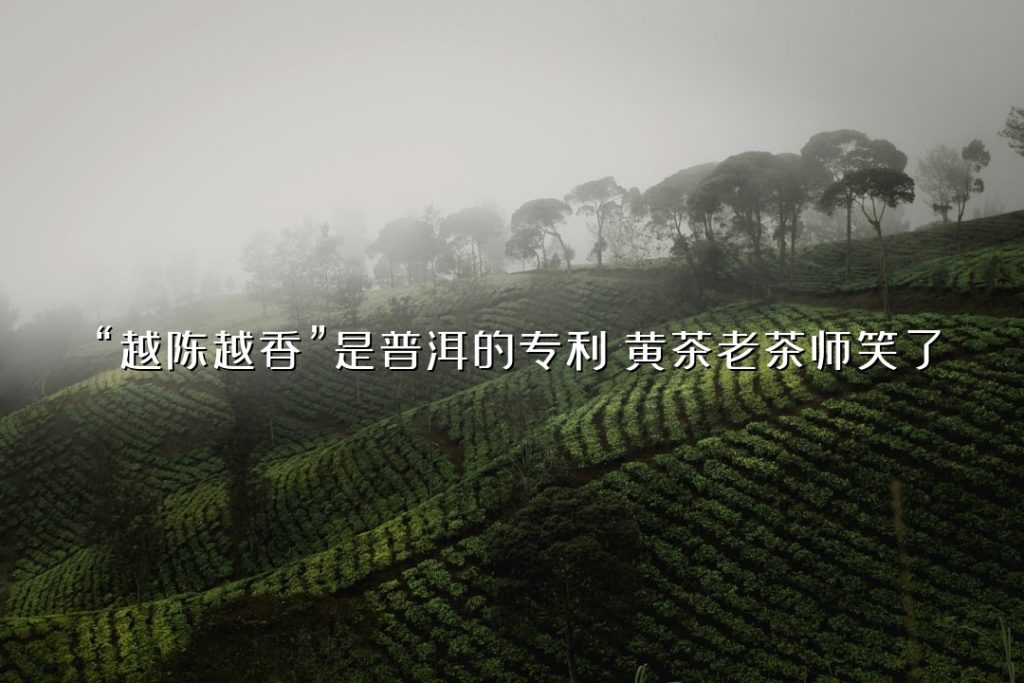 “越陈越香”是普洱的专利?黄茶老茶师笑了 “越陈越香”是普洱的专利?黄茶老茶师笑了
