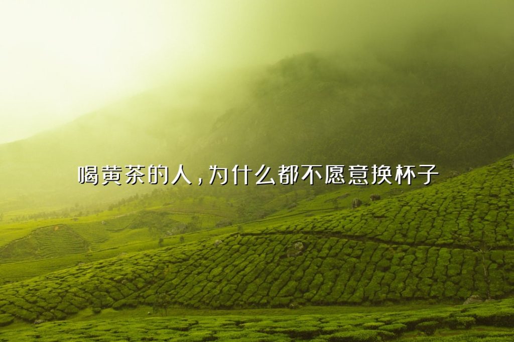 喝黄茶的人，为什么都不愿意换杯子？