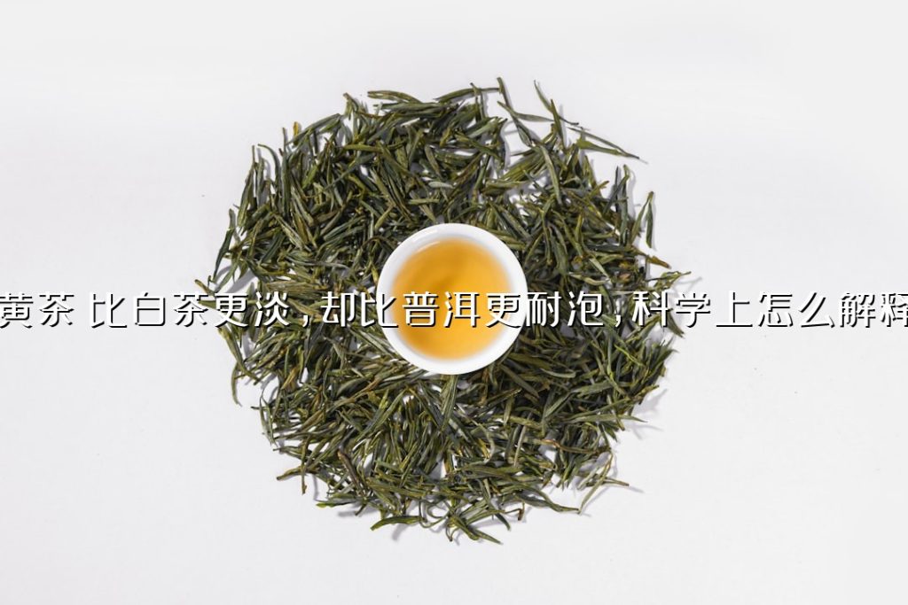 黄茶：比白茶更淡，却比普洱更耐泡，科学上怎么解释？