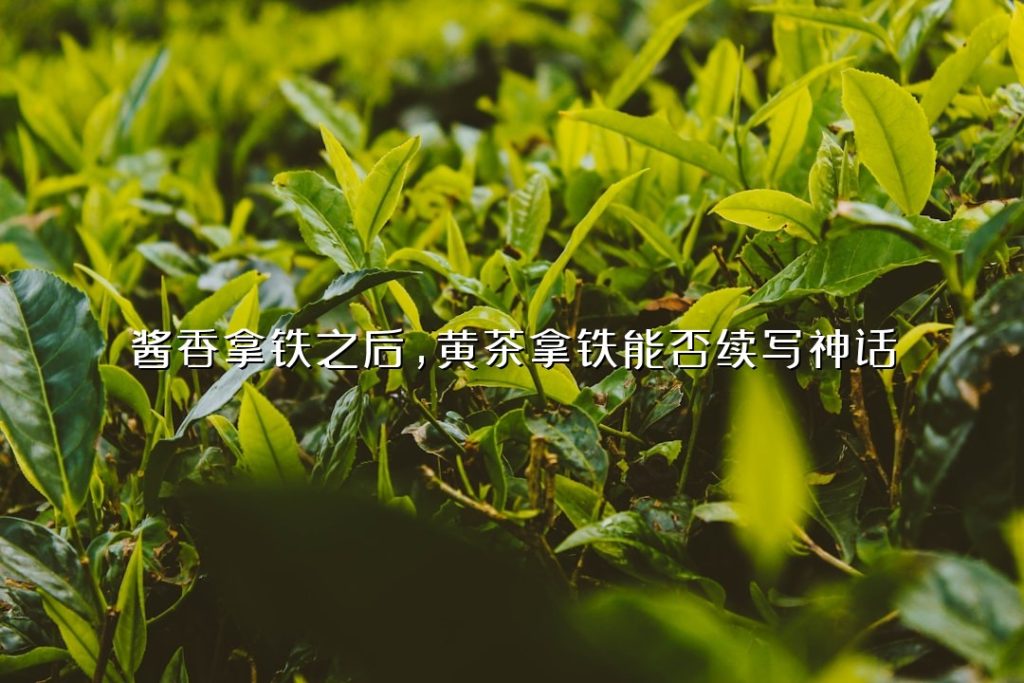 酱香拿铁之后,黄茶拿铁能否续写神话? 酱香拿铁之后,黄茶拿铁能否续写神话?