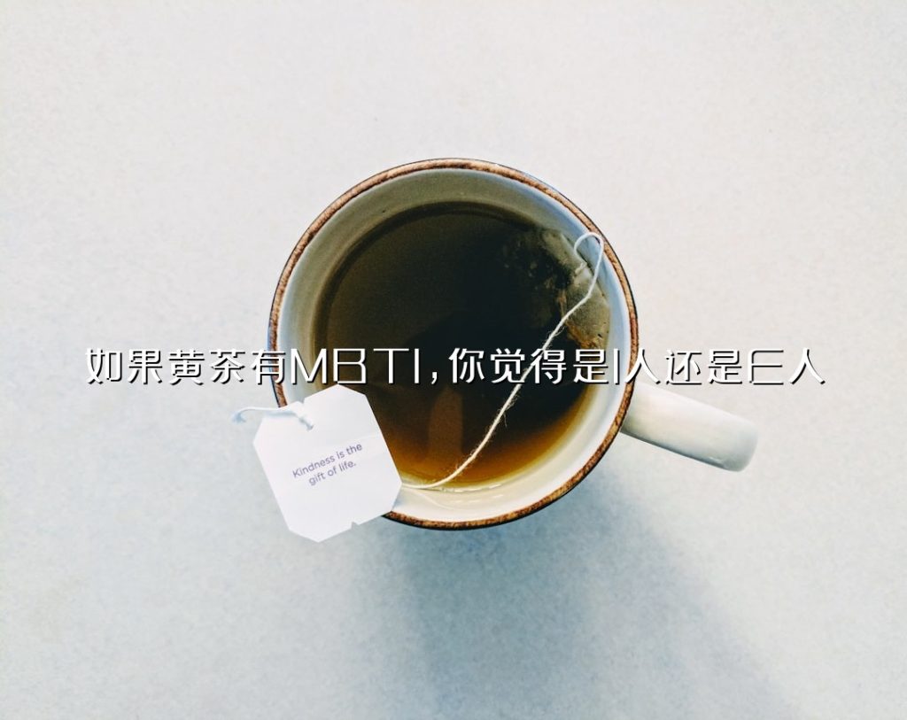 如果黄茶有 MBTI,你觉得是 I 人还是 E 人? 如果黄茶有 MBTI,你觉得是 I 人还是 E 人?