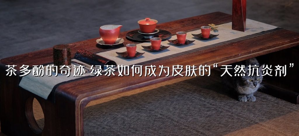 茶多酚的奇迹:绿茶如何成为皮肤的“天然抗炎剂”? 茶多酚的奇迹:绿茶如何成为皮肤的“天然抗炎剂”?