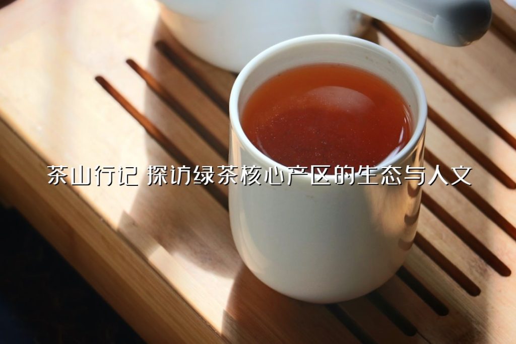 茶山行记：探访绿茶核心产区的生态与人文