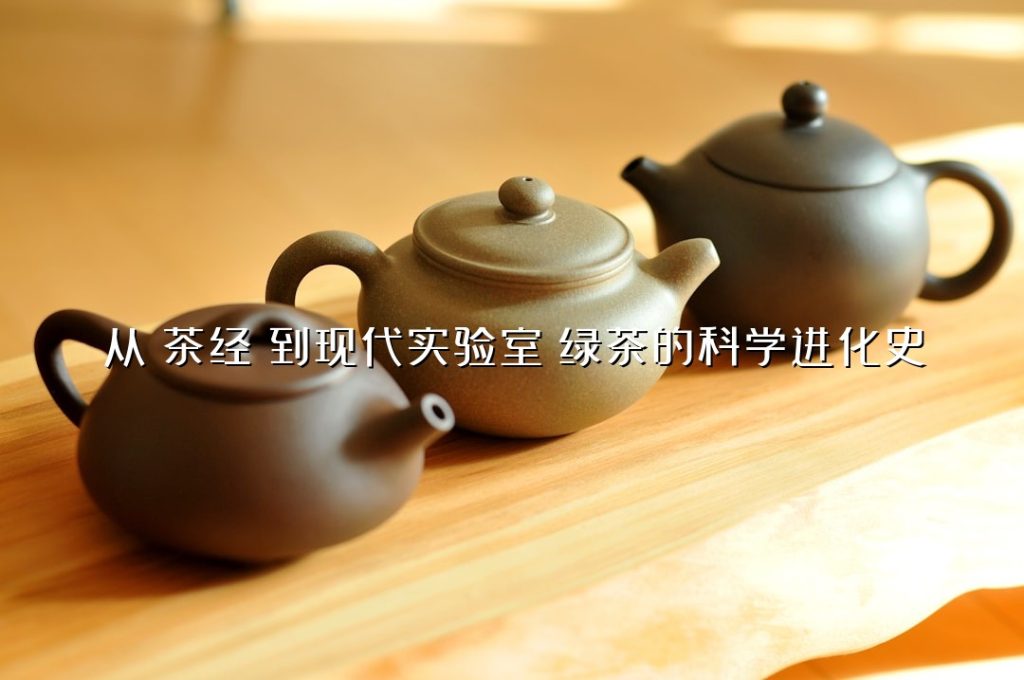 从《茶经》到现代实验室：绿茶的科学进化史