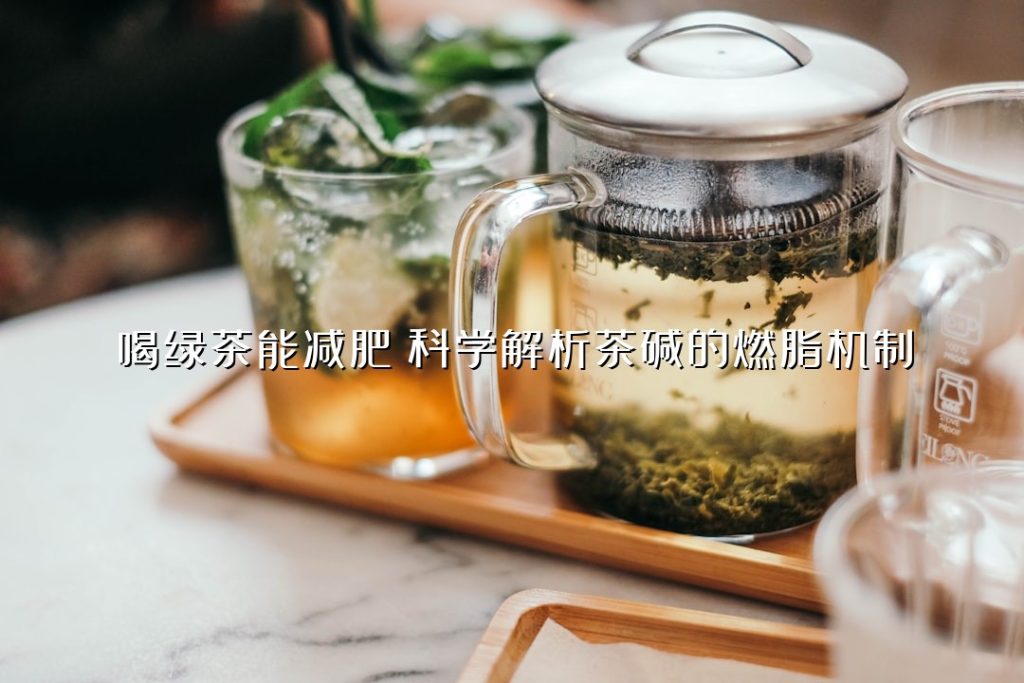 喝绿茶能减肥？科学解析茶碱的燃脂机制