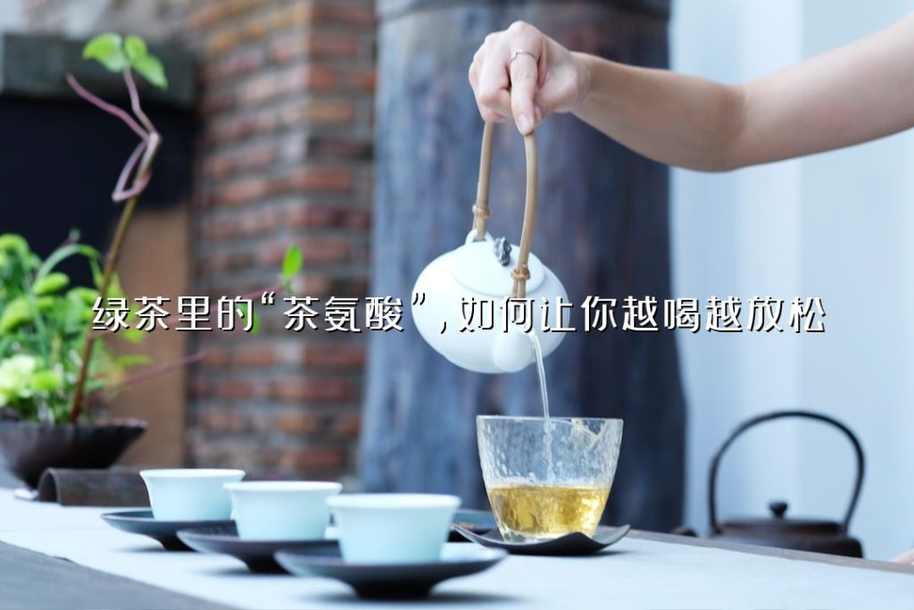 绿茶里的“茶氨酸”,如何让你越喝越放松? 绿茶里的“茶氨酸”,如何让你越喝越放松?