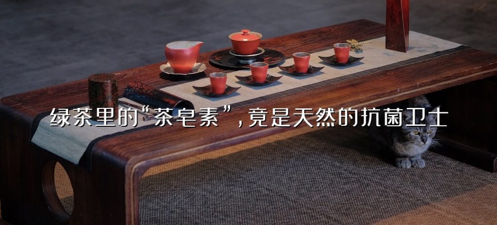 绿茶里的“茶皂素”，竟是天然的抗菌卫士？