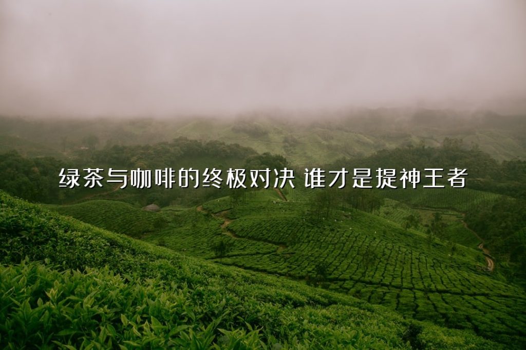 绿茶与咖啡的终极对决：谁才是提神王者？