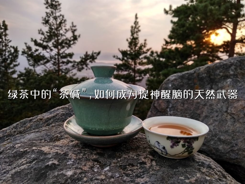 绿茶中的“茶碱”，如何成为提神醒脑的天然武器？