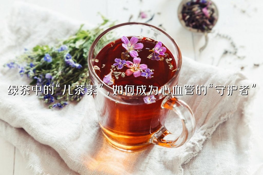 绿茶中的“儿茶素”，如何成为心血管的“守护者”？