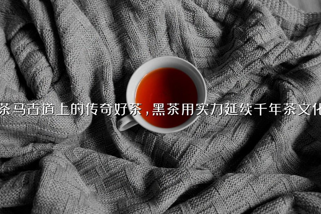 茶马古道上的传奇好茶，黑茶用实力延续千年茶文化