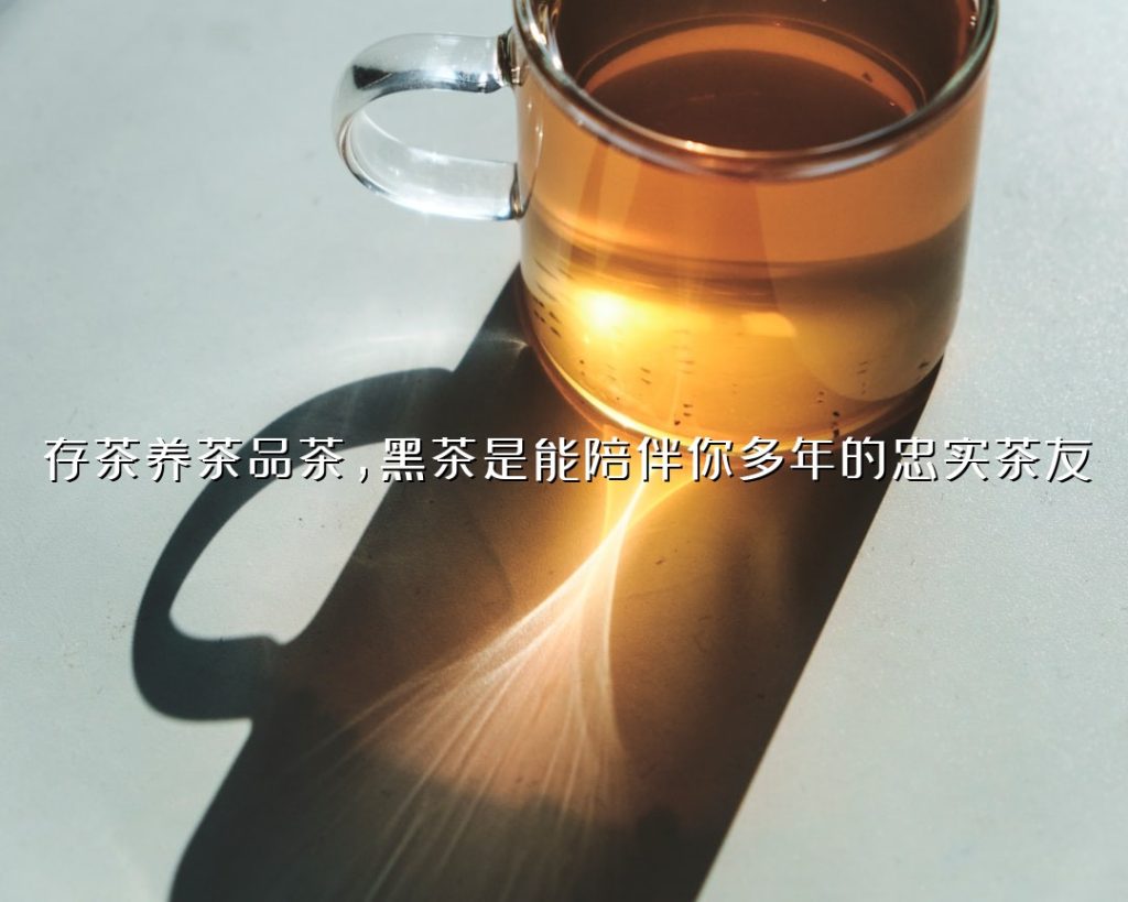 存茶养茶品茶,黑茶是能陪伴你多年的忠实茶友 存茶养茶品茶,黑茶是能陪伴你多年的忠实茶友