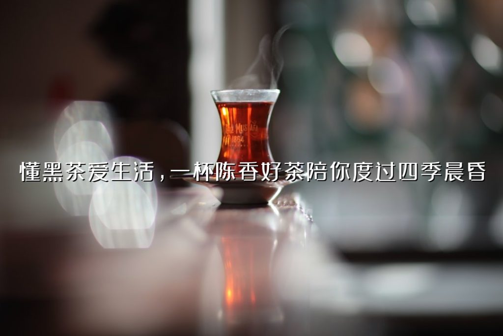 懂黑茶爱生活，一杯陈香好茶陪你度过四季晨昏