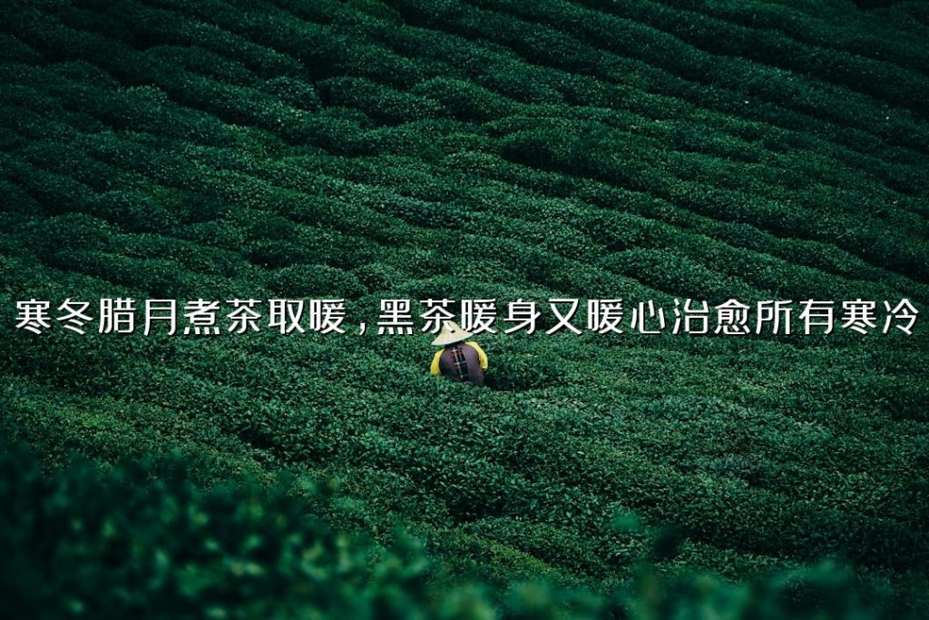寒冬腊月煮茶取暖，黑茶暖身又暖心治愈所有寒冷