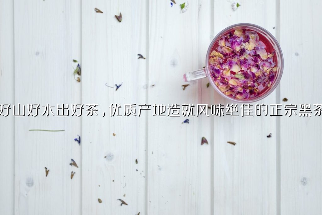 好山好水出好茶，优质产地造就风味绝佳的正宗黑茶