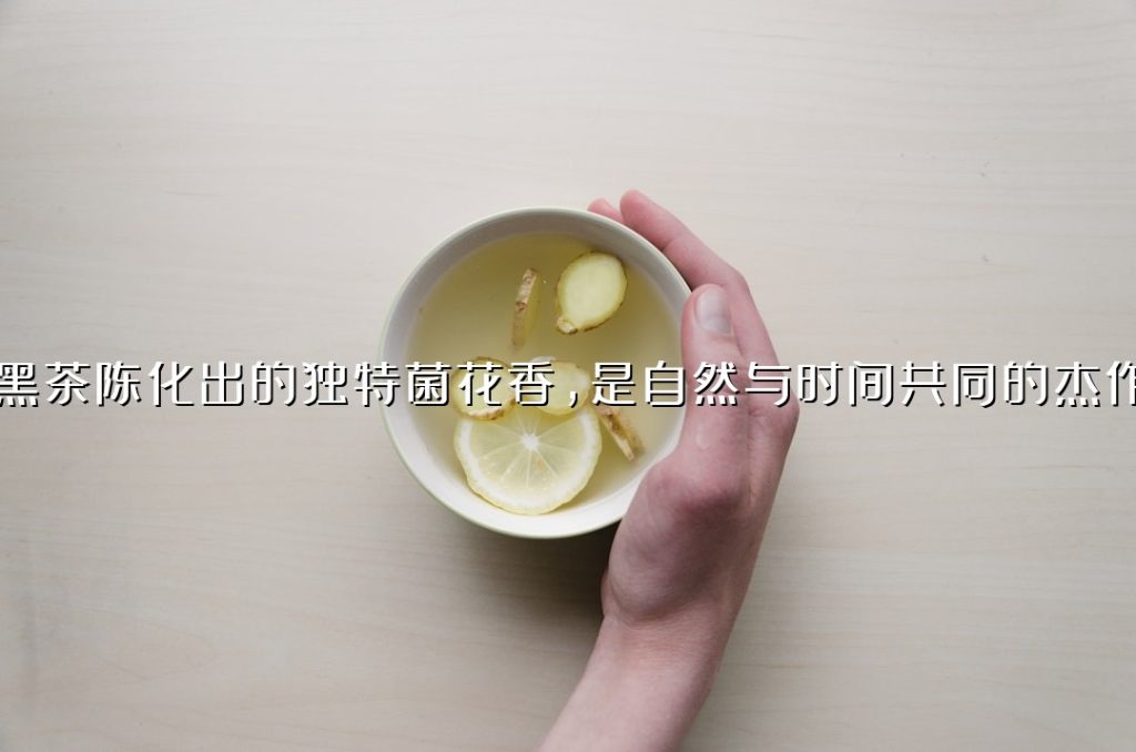 黑茶陈化出的独特菌花香，是自然与时间共同的杰作