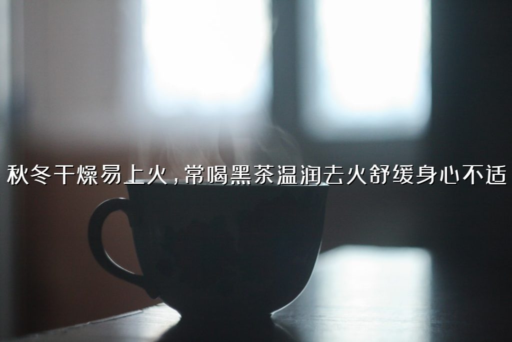 秋冬干燥易上火，常喝黑茶温润去火舒缓身心不适