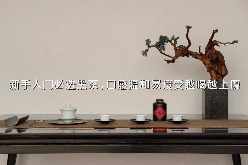 新手入门必选黑茶,口感温和易接受越喝越上瘾 新手入门必选黑茶,口感温和易接受越喝越上瘾